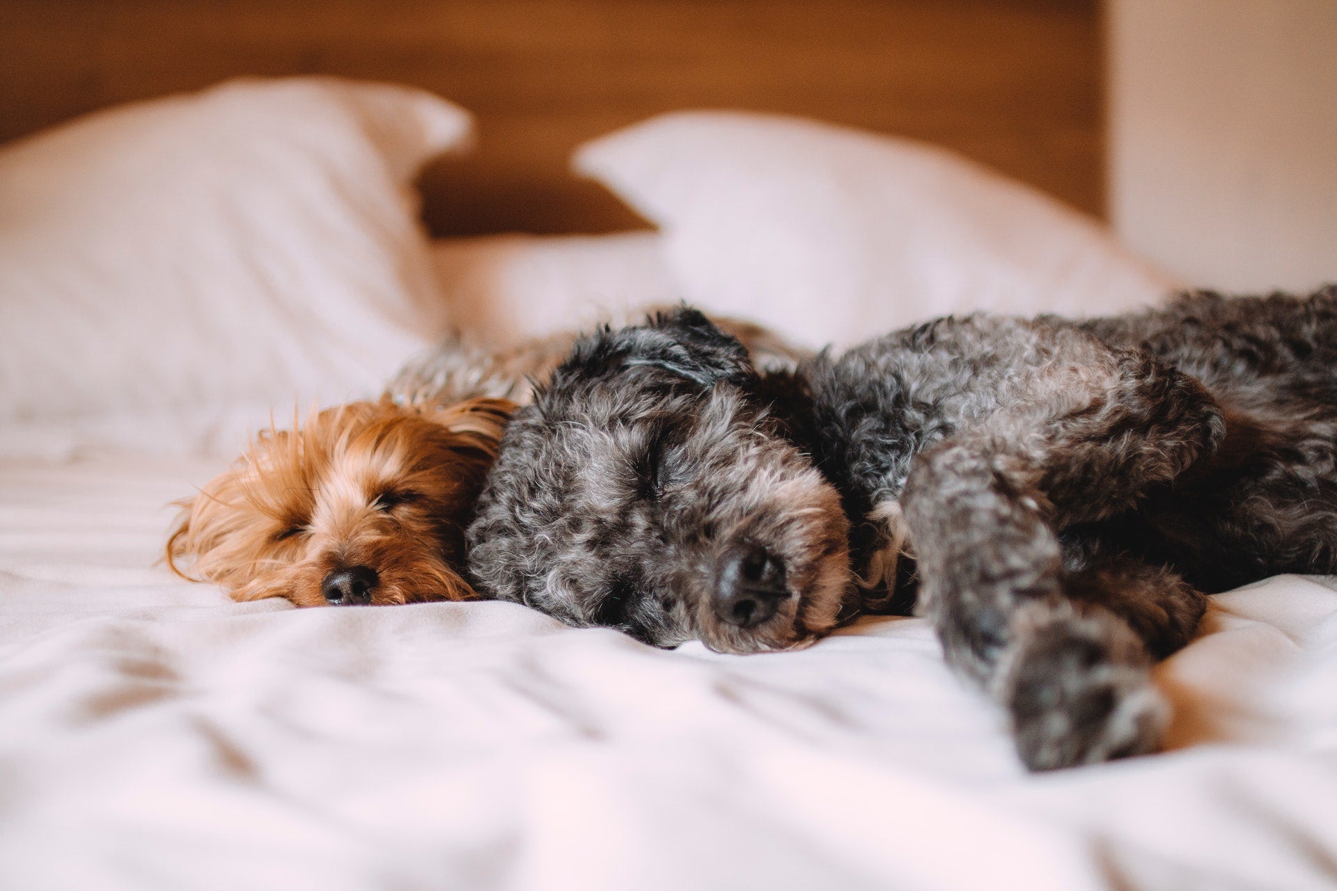 6 faits que vous ignorez sur le sommeil !