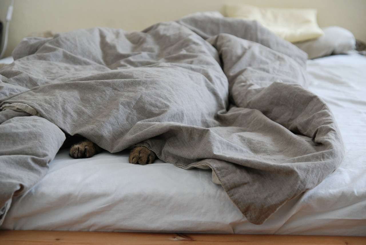 Quel matelas anti-acariens choisir ?