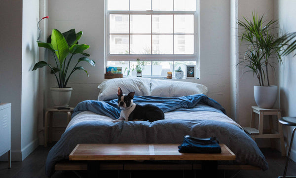 Décoration chambre à coucher : réalisez facilement la chambre de vos rêves