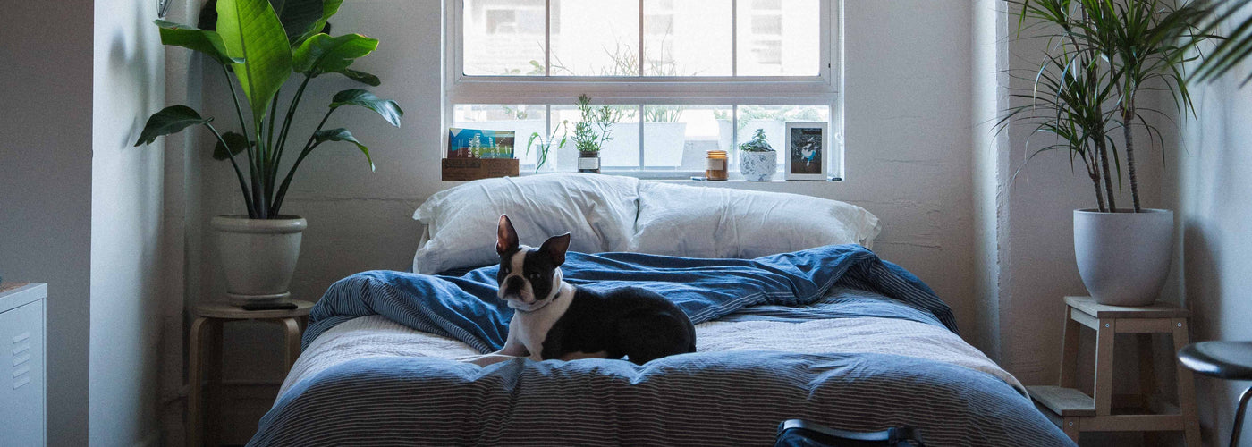 Décoration chambre à coucher : réalisez facilement la chambre de vos rêves