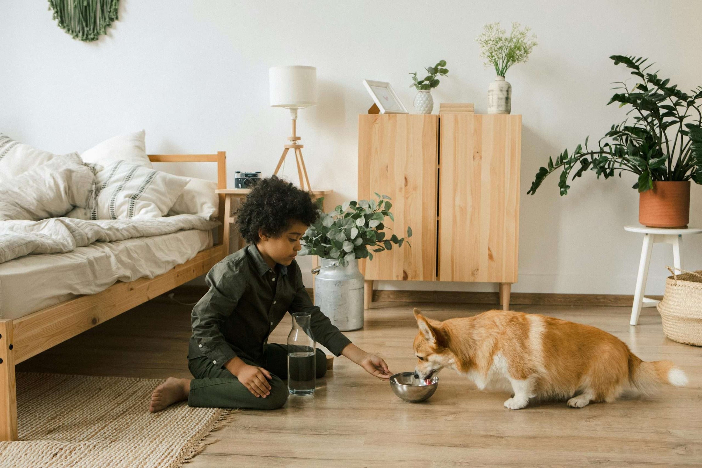 Dormir avec des plantes peut-il nuire à votre sommeil ?
