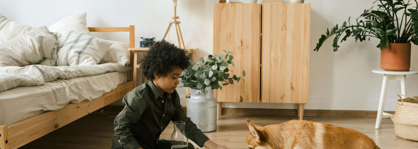 Dormir avec des plantes peut-il nuire à votre sommeil ?