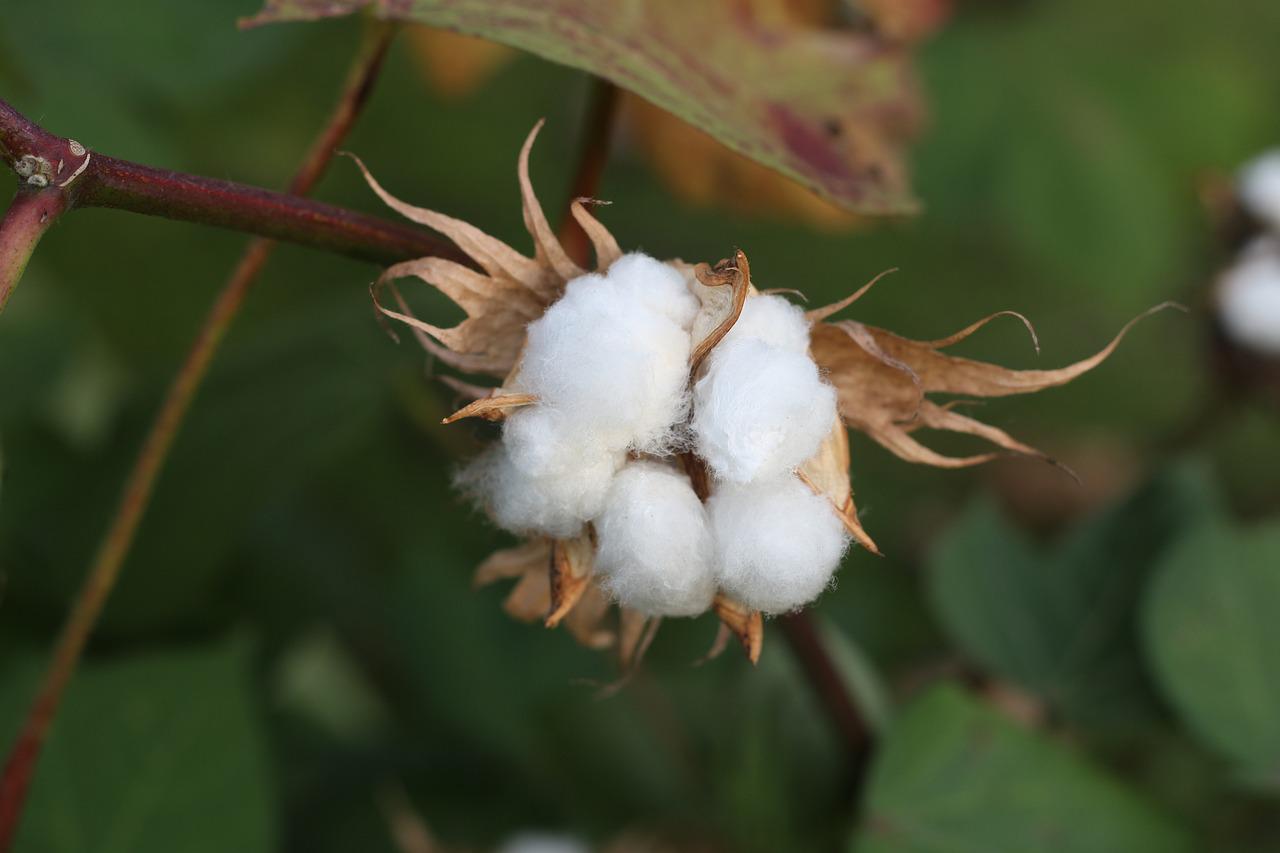 Pourquoi choisir un surmatelas coton ?